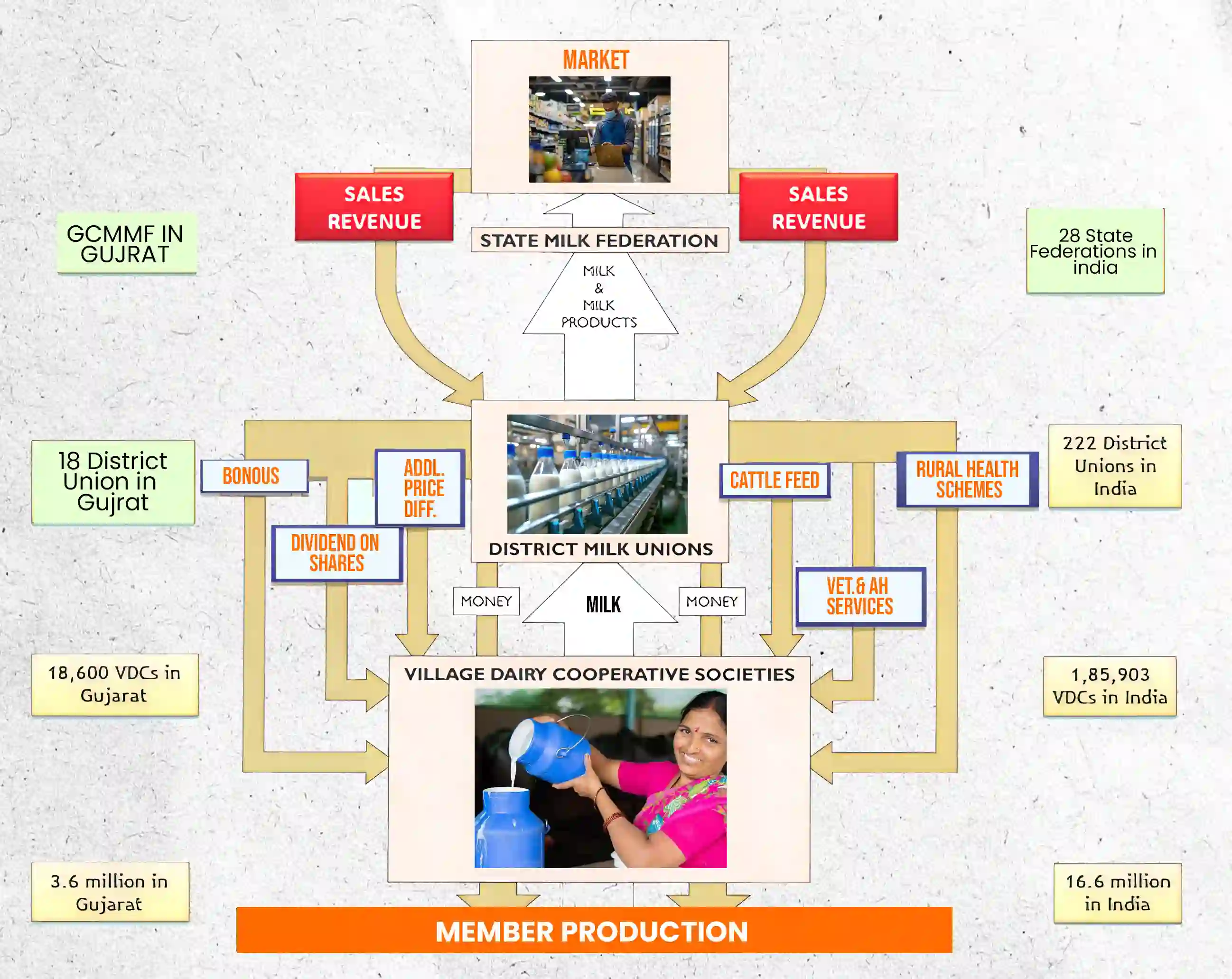 Business Model of Amul